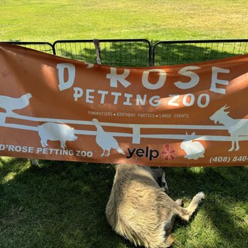 D'Rose Petting Zoo - Petting Zoos Near Me - Gilroy, California