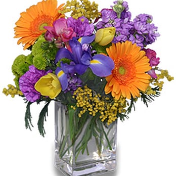 Shackelford's Florist - Florists Near Me - Memphis, Tennessee Shackelford's Florist - Florists Near Me - Memphis, Tennessee