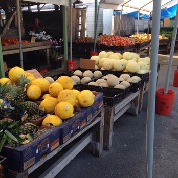 Barbour’s Produce - Fruits & Veggies Near Me - Jensen Beach, Florida Barbour’s Produce - Fruits & Veggies Near Me - Jensen Beach, Florida
