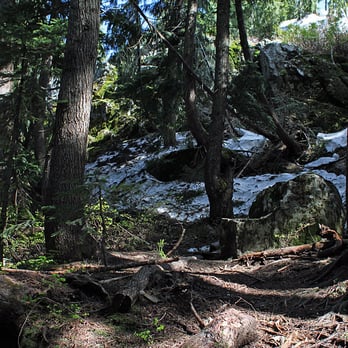 Grouse Grind - Hiking Near Me - North Vancouver, British Columbia