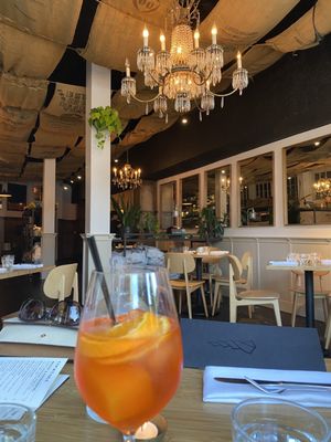 The Black Cypress by null