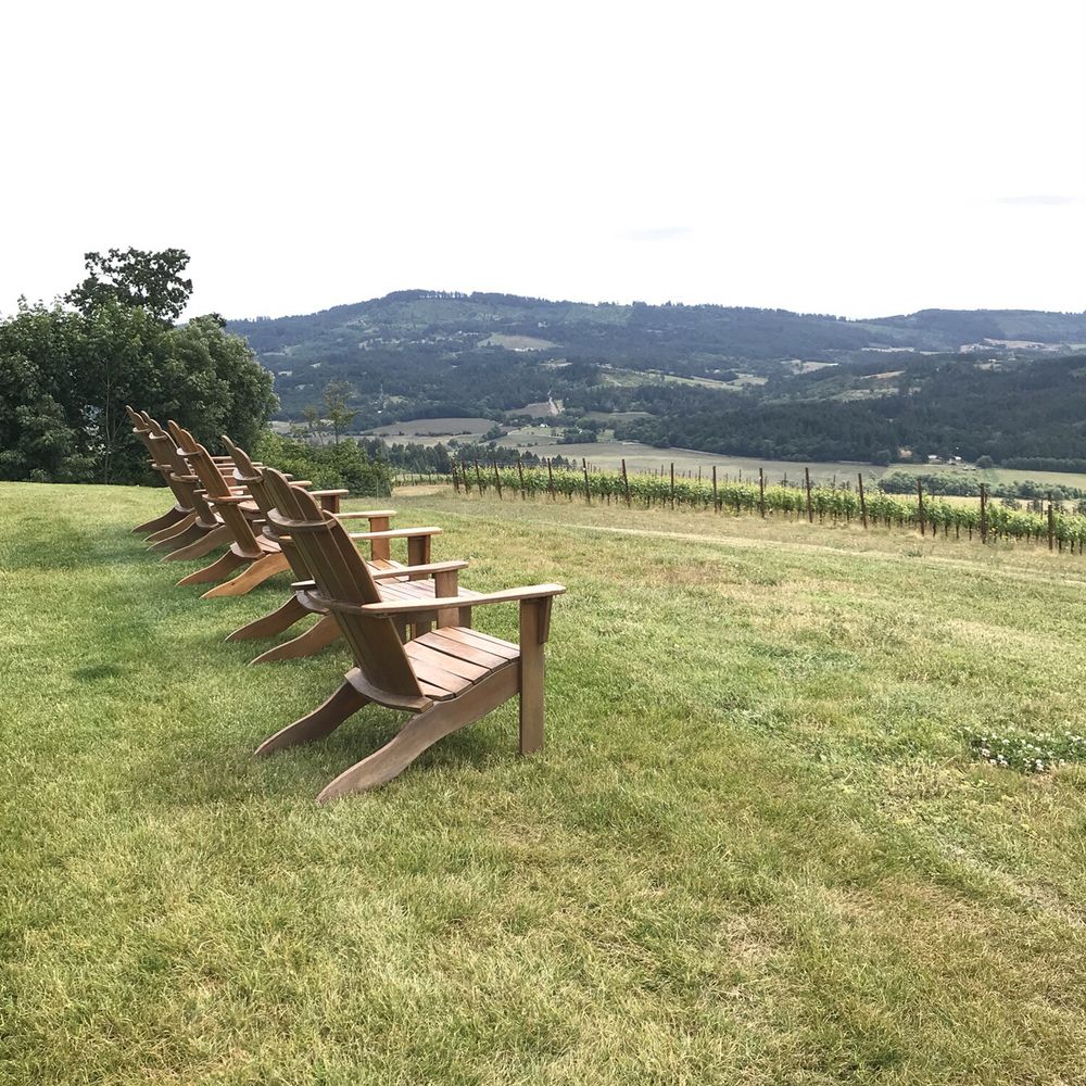 Fairsing Vineyard - Wine Tasting Room Near Me - Yamhill, Oregon Fairsing Vineyard - Wine Tasting Room Near Me - Yamhill, Oregon
