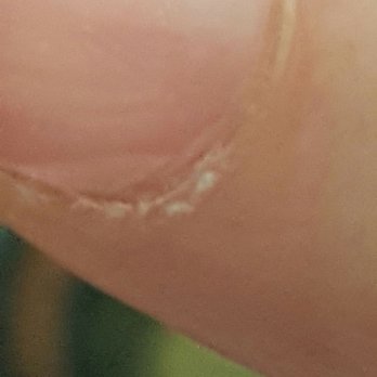 Fairy Nails - Lifting - Nail Salons Near Me - San Antonio, Texas