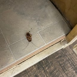 Just a few of the MANY pics that I took during move in...
