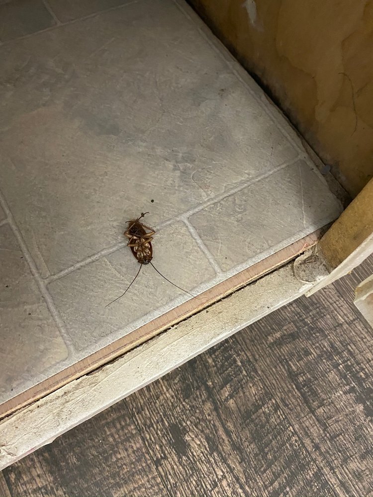 RIDGEVIEW APARTMENTS HOMES Updated September 2024 27 Photos 1800 W Washington St, Sherman