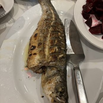 Taverna Kyclades - Grilled Branzino - Seafood Near Me - Astoria, New York Taverna Kyclades - Grilled Branzino - Seafood Near Me - Astoria, New York