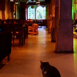 Kultbucht Im Alten Schlachthaus