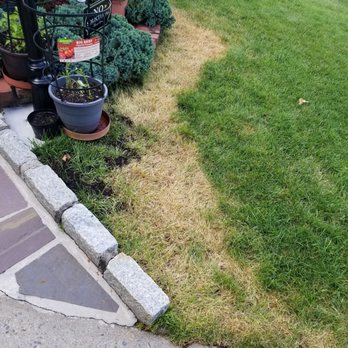 TruGreen Lawn Care - Lawn chemical burn after trugreen treatment - Tree Services Near Me - Danbury, Connecticut TruGreen Lawn Care - Lawn chemical burn after trugreen treatment - Tree Services Near Me - Danbury, Connecticut
