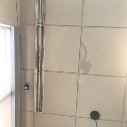 Air vents are covered in mold and ceiling tiles are all wet. Cleaning leaves something to be desired!