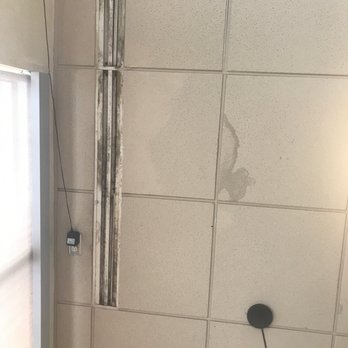 Dairy Queen Grill & Chill - Air vents are covered in mold and ceiling tiles are all wet. Cleaning leaves something to be desired! - Fast Food Near Me - Bradenton, Florida