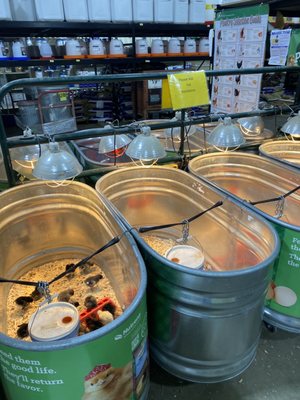 Atwoods Ranch Home Supply 1811 Us Highway 259 N Kilgore Tx Hardware Stores Mapquest