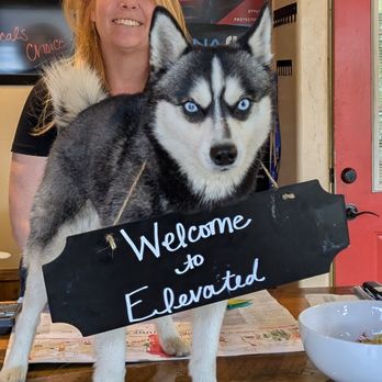 Elevated Auto Glass - Local family owned and operated. Even the dog works here! - Auto Glass Services Near Me - Frisco, Colorado Elevated Auto Glass - Local family owned and operated. Even the dog works here! - Auto Glass Services Near Me - Frisco, Colorado