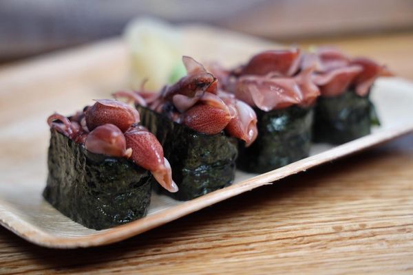 Prime Fish Sushi Charlotte by null