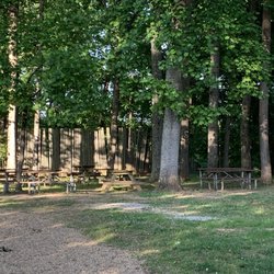Henricus Historical Park - Eat lunch under the trees