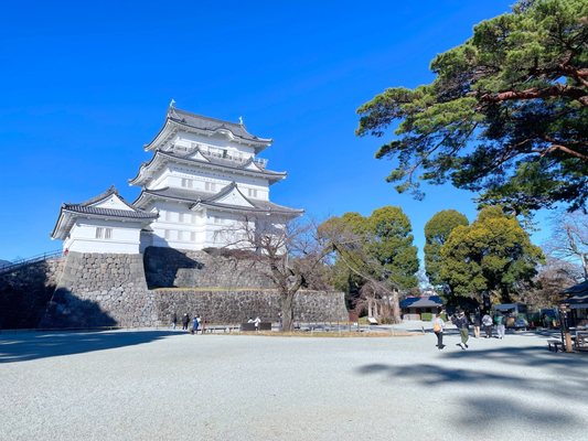 Odawara Castle by null