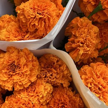 Urban Flowers - Florists Near Me - San Francisco, California Urban Flowers - Florists Near Me - San Francisco, California