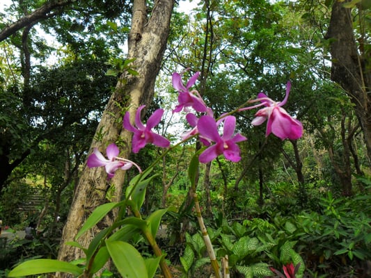 La Mesa Ecopark by null