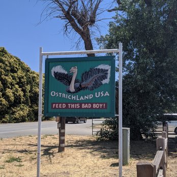 Ostrichland USA - Attraction Farms Near Me - Solvang, California Ostrichland USA - Attraction Farms Near Me - Solvang, California
