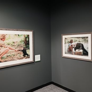The Durham Museum - Jane Goodall exhibit - Museums Near Me - Omaha, Nebraska