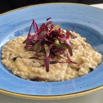 ELIA - Mushroom risotto - Greek Near Me - Walnut Creek, California ELIA - Mushroom risotto - Greek Near Me - Walnut Creek, California
