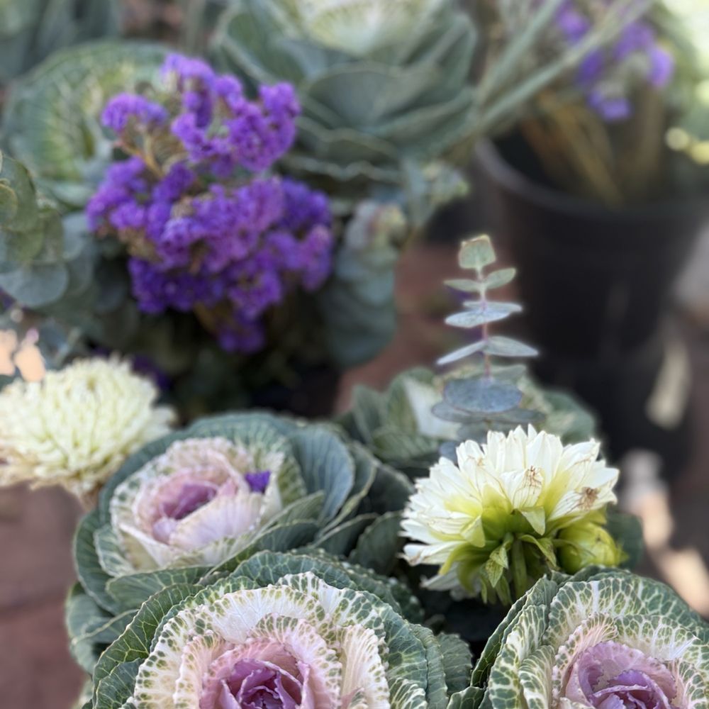 Dane County Farmers' Market - stunning floral arrangements - Farmers Market Near Me - Madison, Wisconsin Dane County Farmers' Market - stunning floral arrangements - Farmers Market Near Me - Madison, Wisconsin
