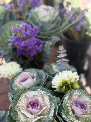 Dane County Farmers' Market by null Dane County Farmers' Market by null