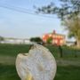 Photo of Perus Chicken II