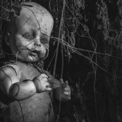 Constitution Lakes Park and Wilderness Area - If you're into black and white, you can get some amazing high contrast images at the doll trail.