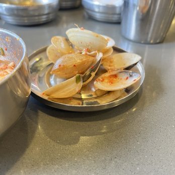 Tofu Plus - clam - Korean Near Me - Cupertino, California Tofu Plus - clam - Korean Near Me - Cupertino, California