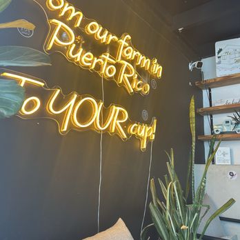 787 Coffee - Nice couch area to wait for drinks! - Coffee & Tea Near Me - Carolina, Puerto Rico