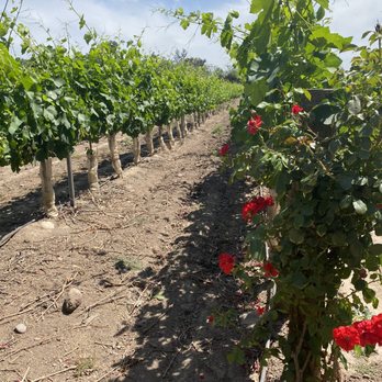 Undurraga - Wineries Near Me - Santiago, RM