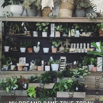 Grounded Plant & Floral - I want them all. - Nurseries & Gardening Near Me - Indianapolis, Indiana