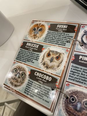 Owl Cafe Tokyo by null