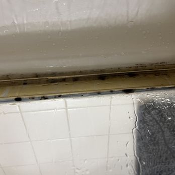 H A Edwards - Mold in shower - Real Estate Services Near Me - Tuscaloosa, Alabama H A Edwards - Mold in shower - Real Estate Services Near Me - Tuscaloosa, Alabama