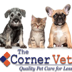 The Corner Vet - Arlington