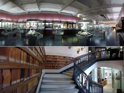 Natural History Museum by null