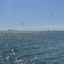 Stiltsville