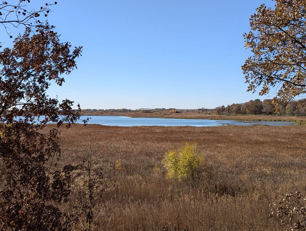 Dick Young Forest Preserve - equestrian in Batavia, IL