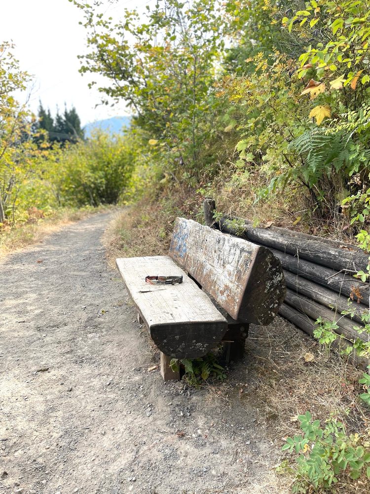 Hamilton Mountain Trail Logo