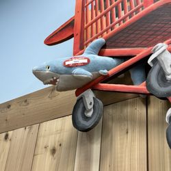 Trader Joe's Virginia Beach - Fizzy the Shark hiding in plain sight