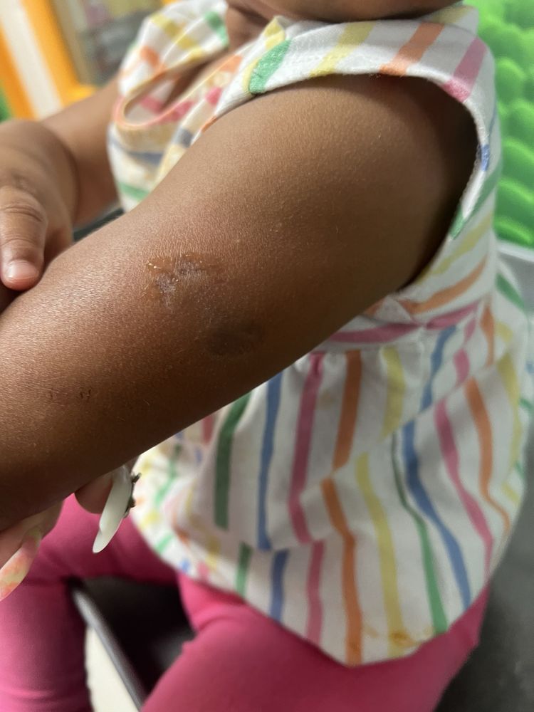 The Learning Experience - Mansfield - Hollands - childcare center in Mansfield, TX