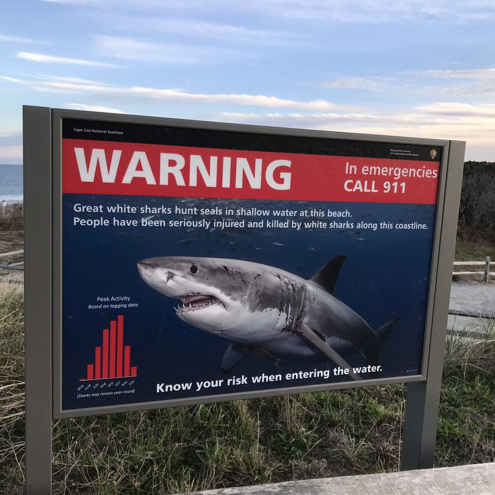 Nauset Light Beach - Shark warning!! - Beaches Near Me Nauset Light Beach - Shark warning!! - Beaches Near Me