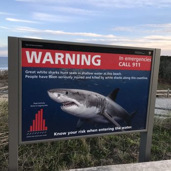 Nauset Light Beach - Shark warning!! - Beaches Near Me Nauset Light Beach - Shark warning!! - Beaches Near Me