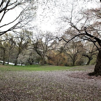 Central Park Conservancy - Parks Near Me - New York, New York