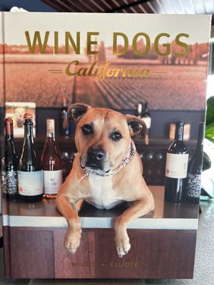 The Wine Thief by null