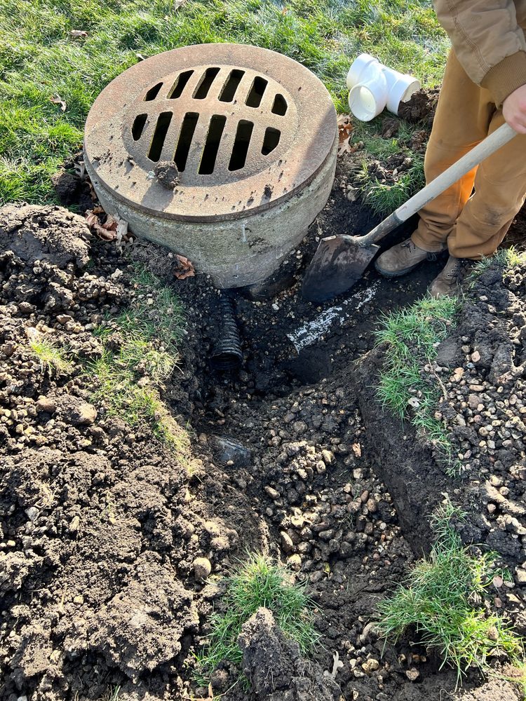 Slide of T. Dotson's Drains