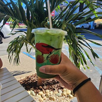 Better Daze - Iced Matcha latte sweetened with vanilla - Coffee & Tea Near Me - Honolulu, Hawaii Better Daze - Iced Matcha latte sweetened with vanilla - Coffee & Tea Near Me - Honolulu, Hawaii