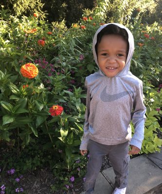 BROOKSIDE GARDENS - Updated January 2026 - 1860 Photos & 301 Reviews