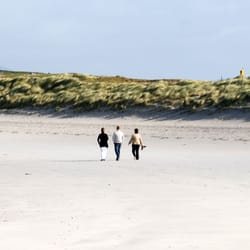 Dogs Bay