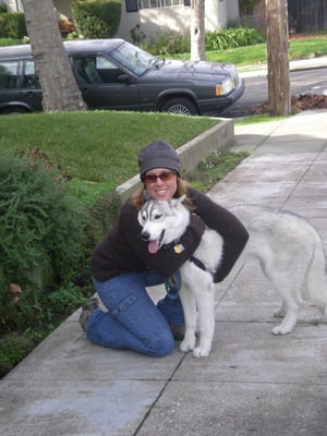 Requirements for Working together - In order to ensure your pet's safety and that they get the best experience, I ask that all dogs have been neutered, not bite history, and.